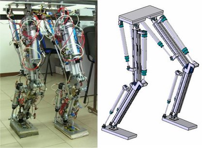 DIEES Biped: A 10 Dofs Pneumatically Actuated Biped Robot
